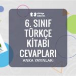 Doğanın Tedavi Edici Gücü: Depresyonla Mücadele